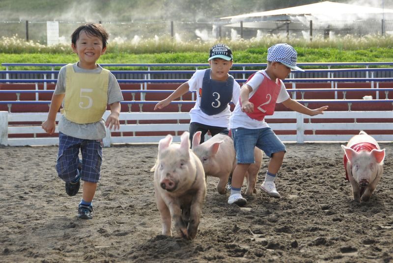 Chiba Mother Farm Ticket Tokyo - Getting to Futtsu without losing the day