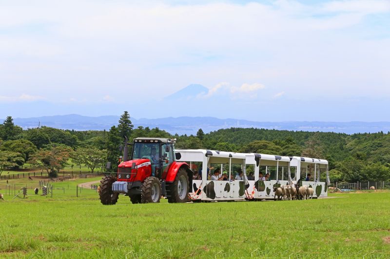 Chiba Mother Farm Ticket Tokyo - Is the ticket good value?