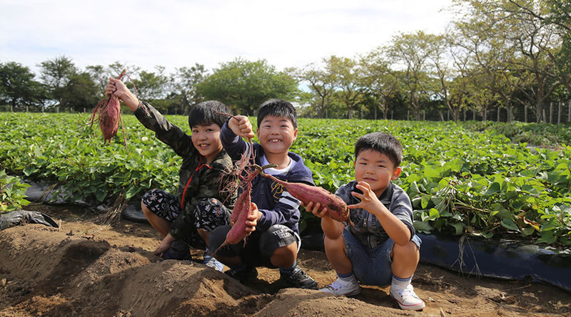 Chiba Mother Farm Ticket Tokyo - Should you book Mother Farm?