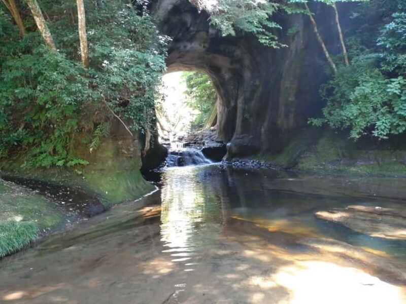 Chiba: Okuboso Nature Tour with Local Guide - Chiba: Okuboso Nature Tour with Local Guide