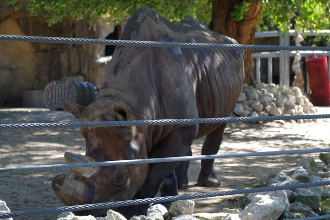 Chicago Amazing Lakefront Bike Tour - Final Thoughts