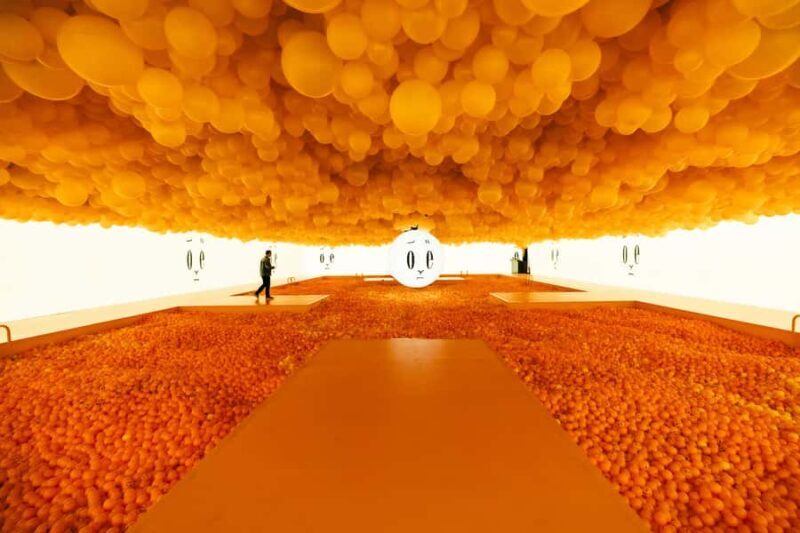 Chicago: Balloon Museum - EmotionAir - Entry Tickets - Chicago: Balloon Museum - EmotionAir - Entry Tickets