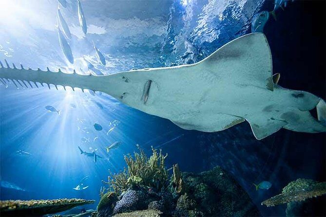 Chicago CityPASS® - The Sum Up