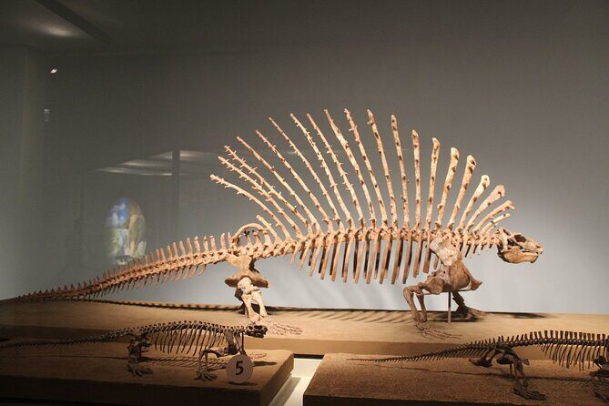 Chicago Field Museum Ticket and Audio Tour on Your Phone - Key Points