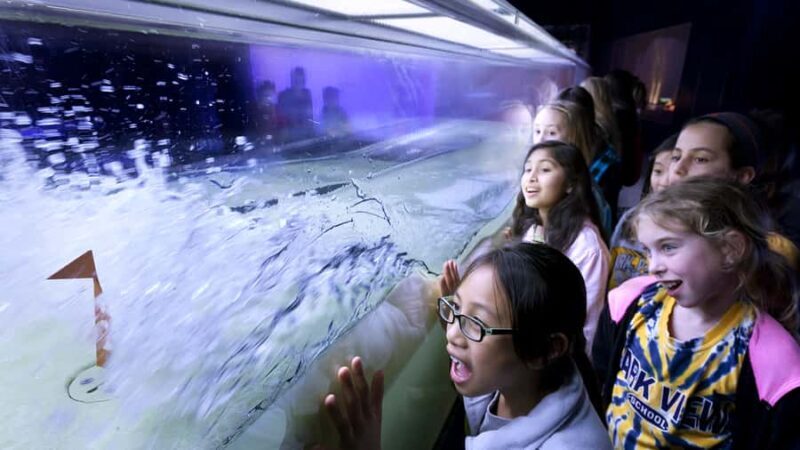 Chicago: Griffin Museum of Science and Industry Ticket - Exploring the Chicago Griffin Museum of Science and Industry: A Detailed Review