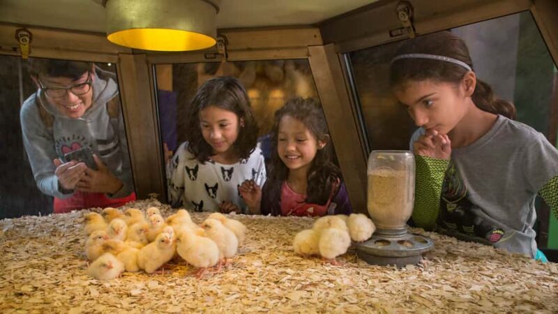 Chicago: Griffin Museum of Science and Industry Ticket - Practical Details and Visitor Experience