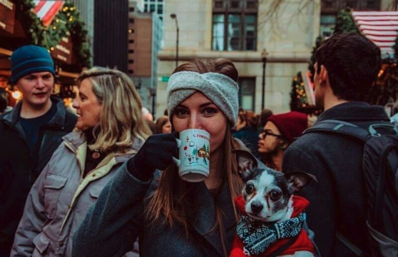 Chicago: Guided Holiday Walking Tour and Food Sampling - A Deep Dive into the Chicago Holiday Walking Tour