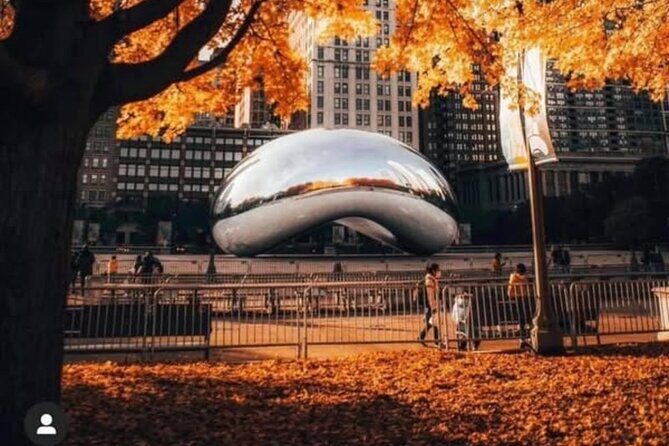 Chicago In A Day With A Local - The Sum Up