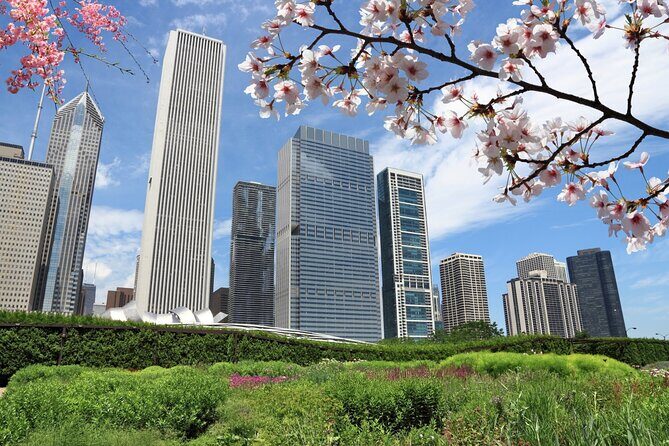 Chicago Millennium Park Self-Guided Walking Tour - Final Thoughts