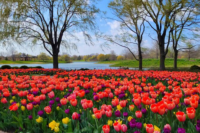 Chicago Suburbs Hidden Gems: Small-Group Exploration Tour - What Makes This Tour Stand Out