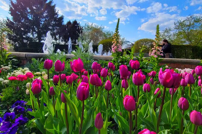 Chicago Suburbs Hidden Gems: Small-Group Exploration Tour - Who Should Consider This Tour?