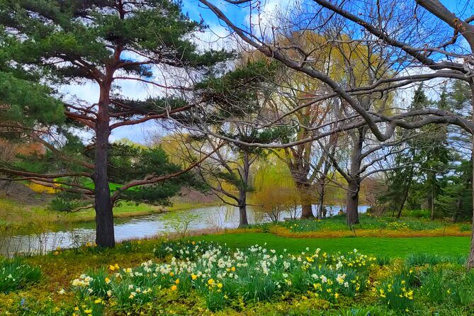 Chicago Suburbs Hidden Gems: Small-Group Exploration Tour - The Sum Up