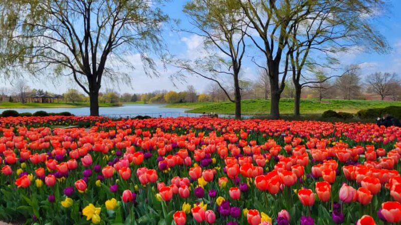 Chicago Suburbs: The Hidden Gems Tour - Final Thoughts