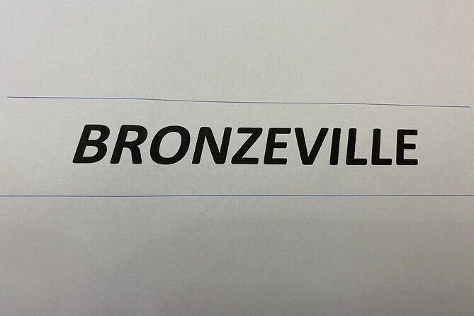 Chicago Tour - South Side - Get to Know Chicago’s South Side with a Local Guide