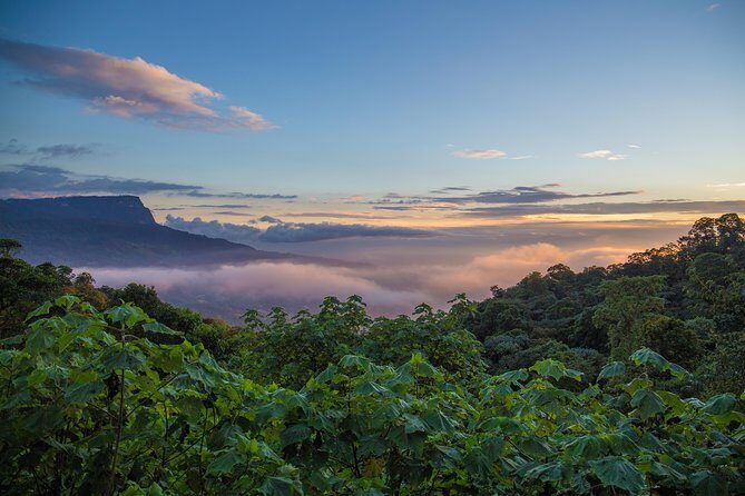 Chicaque Cloud Forest Birding - FAQ