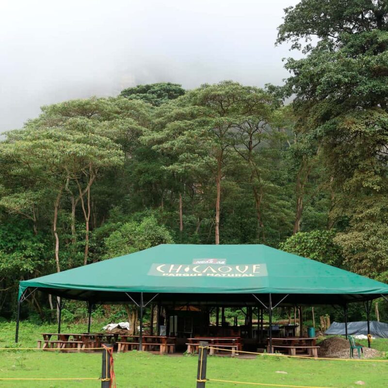 Chicaque Foggy Forest Hike - Chicaque Foggy Forest Hike: A Balanced Look at Colombia’s Green Jewel