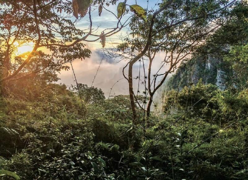 Chicaque Full-Day Trip from Bogotá - A Deep Dive into the Chicaque Experience