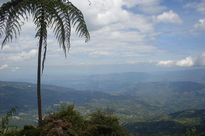 Chicaque Natural Park - Hiking or Birdwatching experience - An In-Depth Look at the Chicaque Natural Park Tour