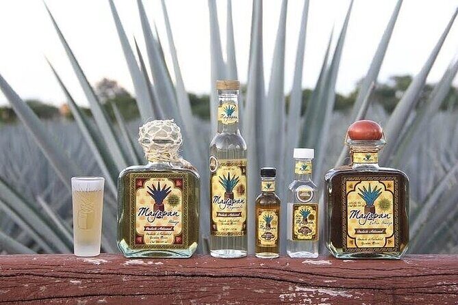 Chichen Itza, Cenote, Tequila and Valladolid Tour from Tulum - Who Should Consider This Tour?