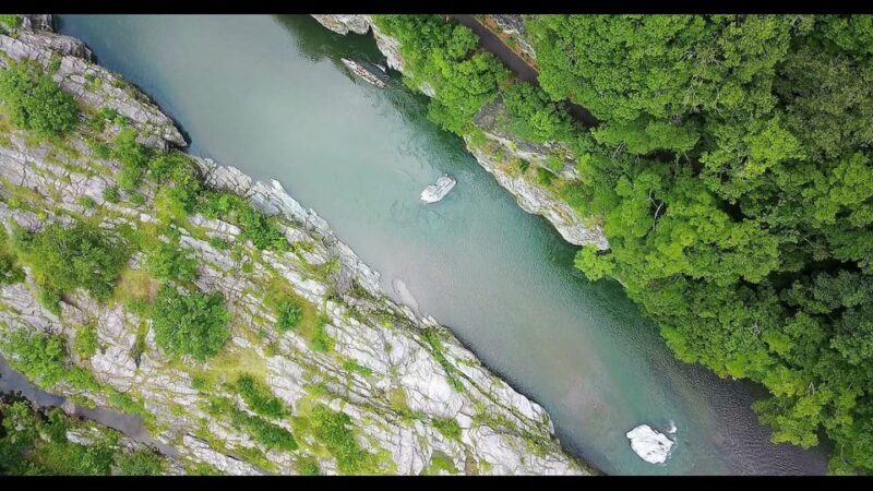 Chichibu Mitsumine Shrine and Nagatoro 1 day private tour - Authentic Experiences and Practical Insights