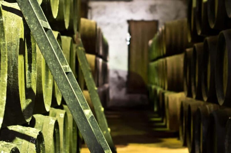 Chiclana de la Frontera: Winery Tour with Wine Tasting - Exploring the Flavors of Andalusia: A Winery Tour in Chiclana de la Frontera