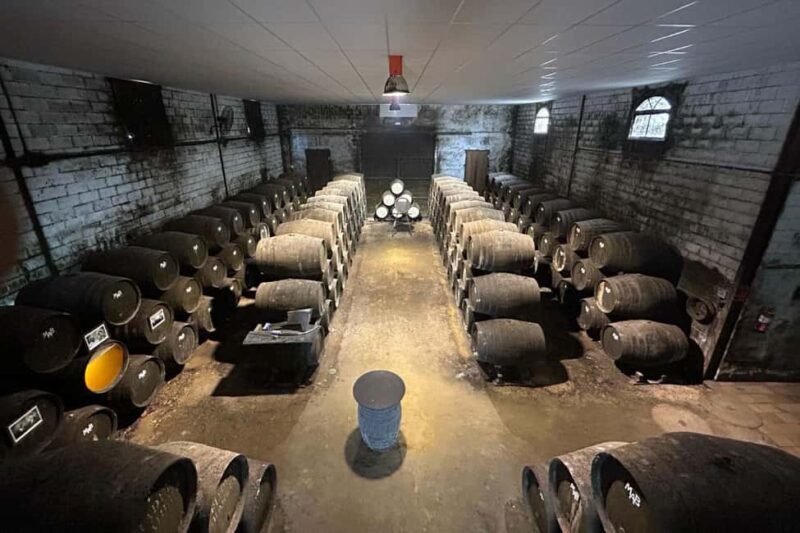 Chiclana de la Frontera: Winery Tour with Wine Tasting - Key Points