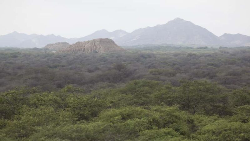 Chiclayo: Pomac Forest Historic Sanctuary & Sican Museum - The Sum Up: Is It Worth It?