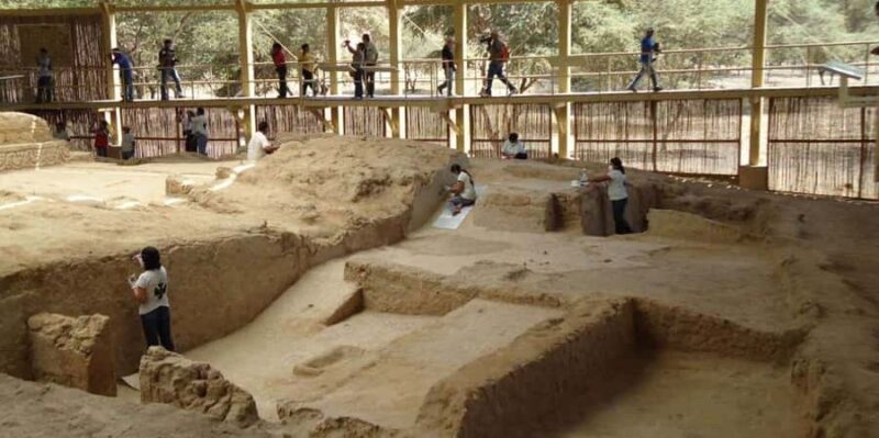 Chiclayo: Túcume's Pyramids and Pomac Rainforest - A Deep Dive into the Túcume and Pomac Experience