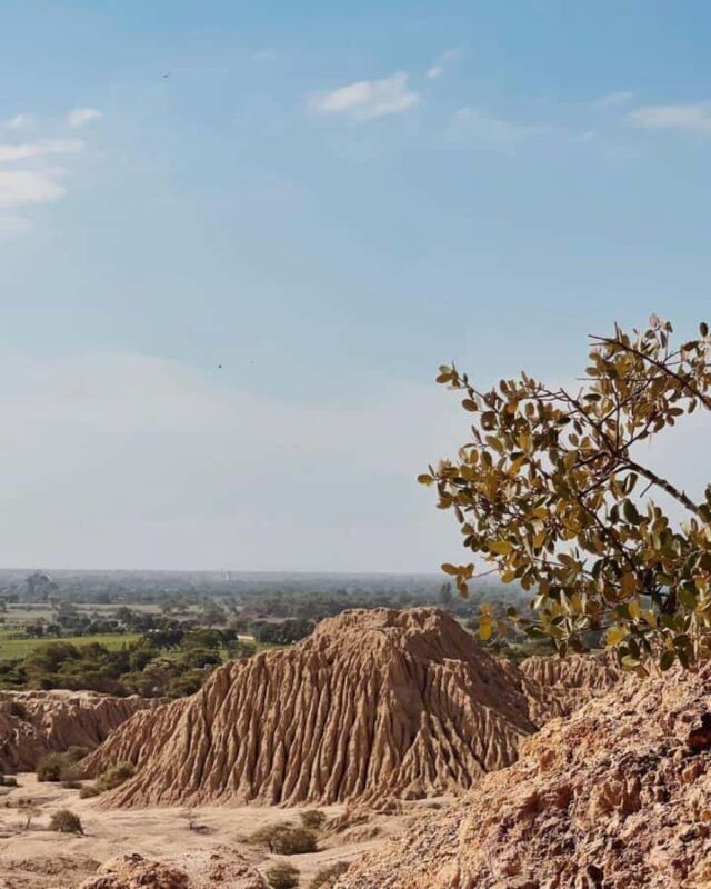 Chiclayo: Túcume's Pyramids and Pomac Rainforest - Why This Tour Works for You