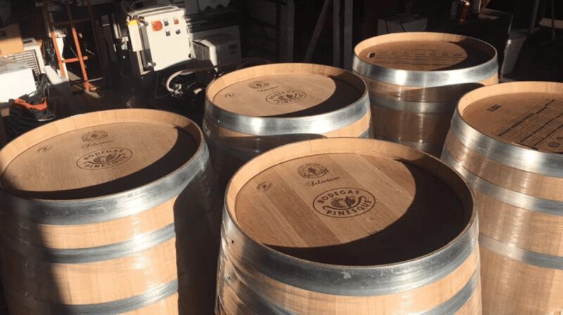 Chihuahua: Insignia Winery Wine Tasting Experience - The Wines: A Closer Look