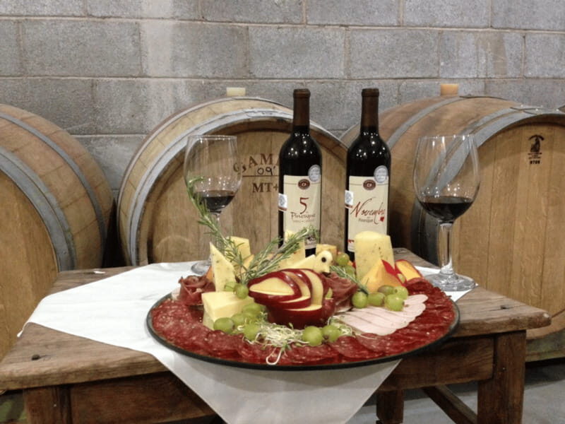 Chihuahua: Romantic Wine Tasting Experience - What to Expect from Your Romantic Wine Tasting