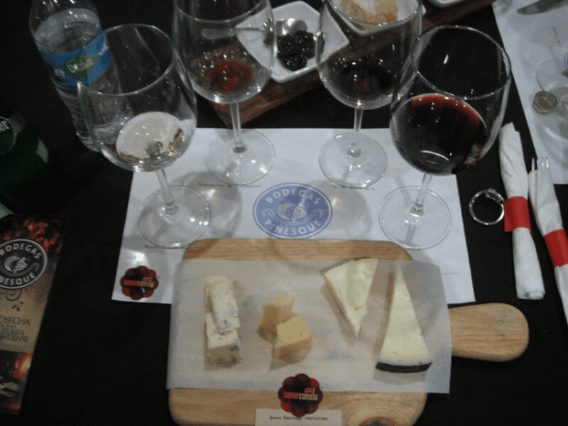 Chihuahua: Romantic Wine Tasting Experience - Who Will Love This?