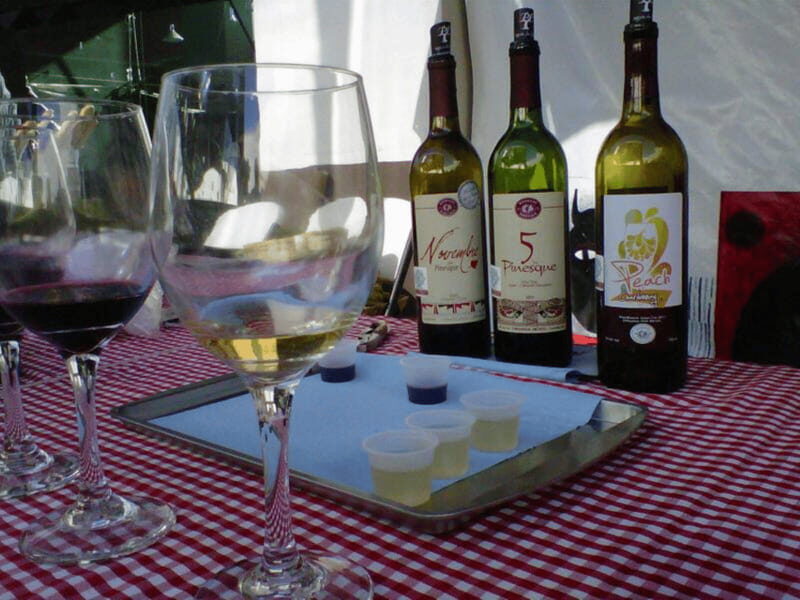 Chihuahua: Wine Tasting Tour - An In-Depth Look at the Chihuahua Wine Tasting Tour