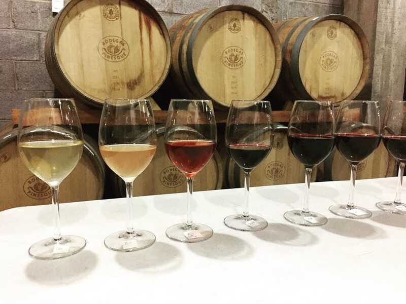 Chihuahua: Winery Tasting Experience - Key Points