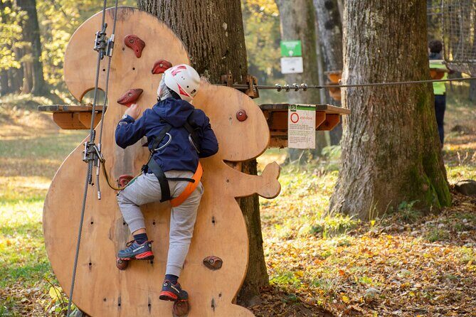 Children Daily Ticket for Adventure Park in Gravedona - The Sum Up: Is It Worth It?
