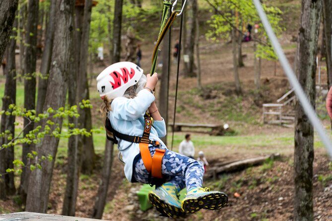 Children Daily Ticket for Adventure Park in Gravedona - FAQ