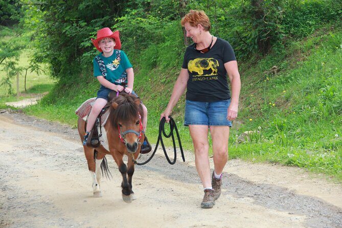 Children Mini Horse Rides - Children Mini Horse Rides: A Gentle Introduction to Mountain Equines in Asheville