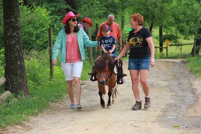 Children Mini Horse Rides - Key Points