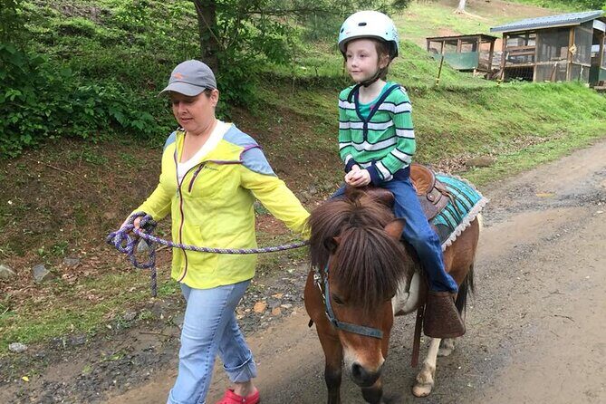 Children Mini Horse Rides - Final Thoughts: Is It Worth It?