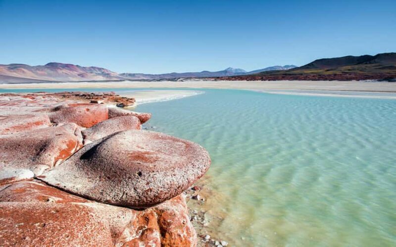 Chile: Tour Red stones + Altiplanic Lagoons + Laguna Chaxa - An In-Depth Look at the Tour Experience