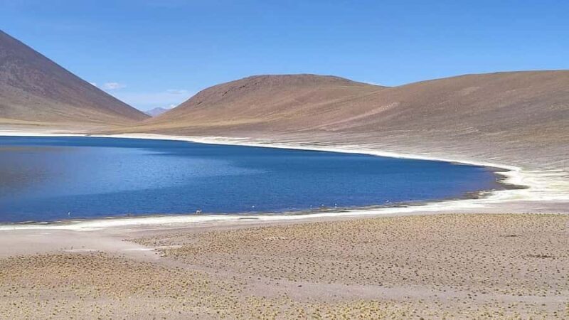 Chile: Unforgettable Altiplano Adventure - Who Is This Tour Best For?