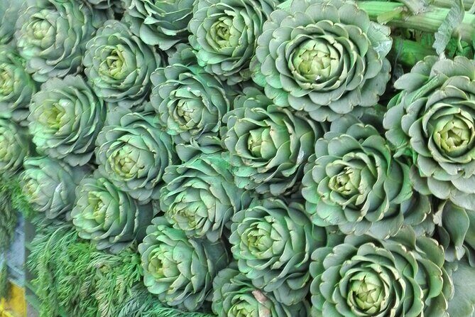 Chilean Cooking Class in Santiago with Wine Pairings - Key Points