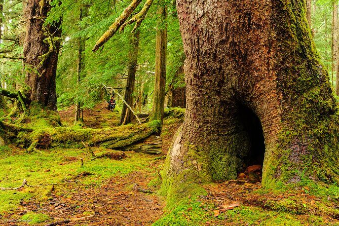 Chilkoot Lake Kayaking - Departing From Skagway - Final Summary