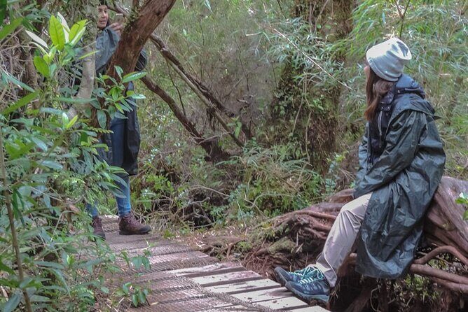 Chiloe National Park and Chonchi "Darwin Route" - A Deep Dive into the Chiloe National Park and Darwin Route Tour