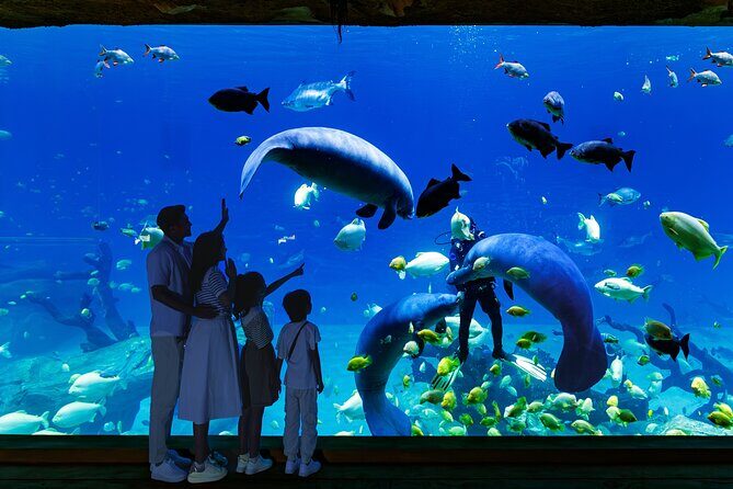 Chimelong Spaceship Theme Park - Key Points