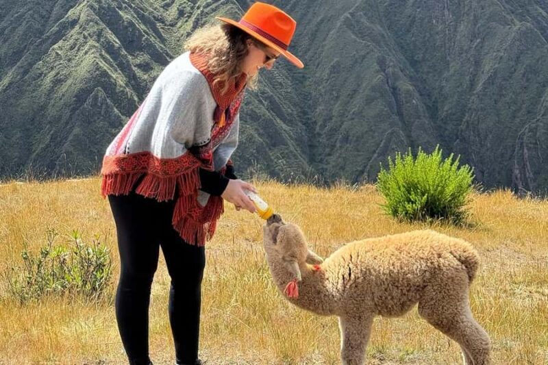 Chinchero, Maras & Moray + Picnic con llamas |Private Tour| - FAQ