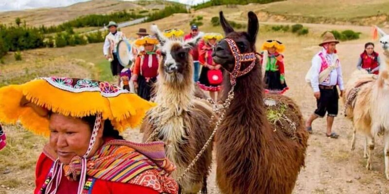 Chinchero Private Excursion + Alpaca Walk - Key Points