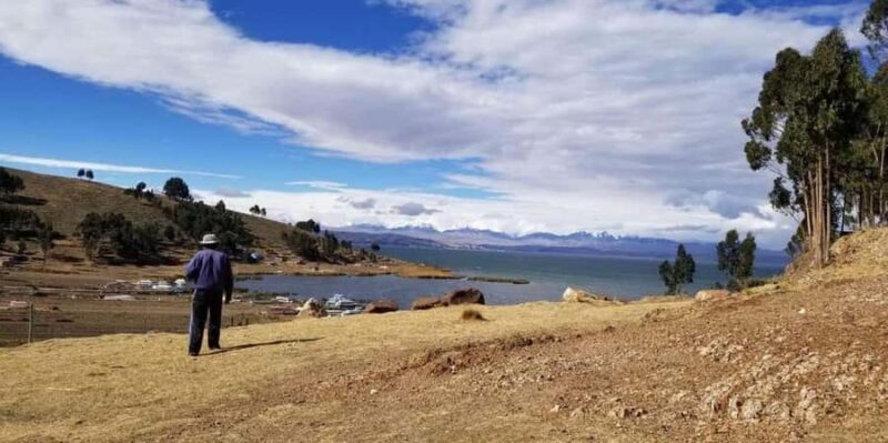 Chinchero Private Excursion + Alpaca Walk - A Closer Look at the Chinchero Private Excursion