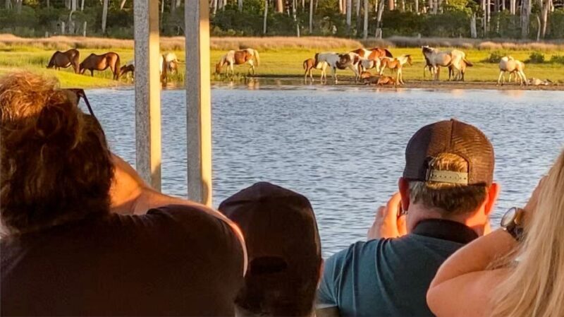 Chincoteague: Assateague Island Sunset Boat Cruise - An Authentic Look at the Assateague Island Sunset Cruise
