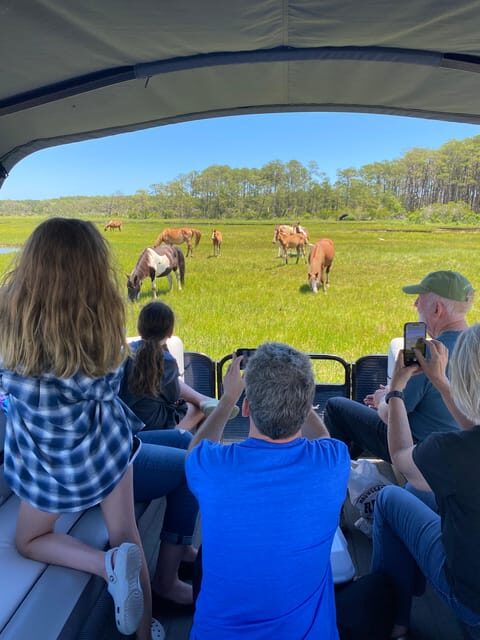 Chincoteague: Premier Pony & Wildlife Small Group Boat Tour - Discovering Chincoteague’s Wildlife on a Small Boat Adventure